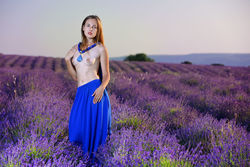 LAVENDER LOVE (0)