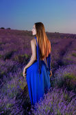 LAVENDER LOVE (2)