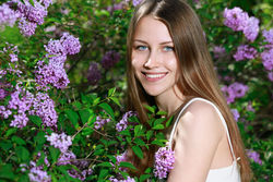 PRESENTING VIOLET (1)