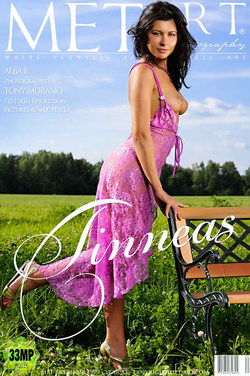 TINNEAS: ALBA B by TONY MURANO