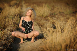 FLOWER IN THE SUN (14)