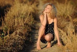 FLOWER IN THE SUN (15)